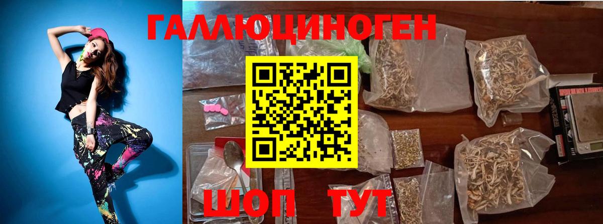 Псилоцибиновые грибы Psilocybe  Вход с VPN  Псилоцибиновые грибы Psilocybine cubensis  Дальнегорск 